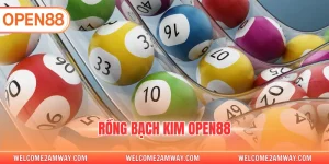 rồng bạch kim open88